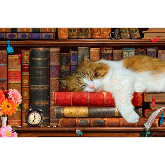 Eurographics Puzzle The Cat's Nap, Dose mit 1000 Teilen