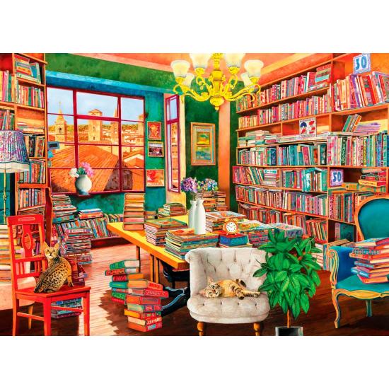 Eurographics Puzzle Die alte Bibliothek 1000 Teile