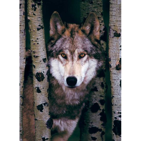 Eurographics Puzzle Grauer Wolf 1000 Teile