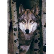 Eurographics Puzzle Grauer Wolf 1000 Teile