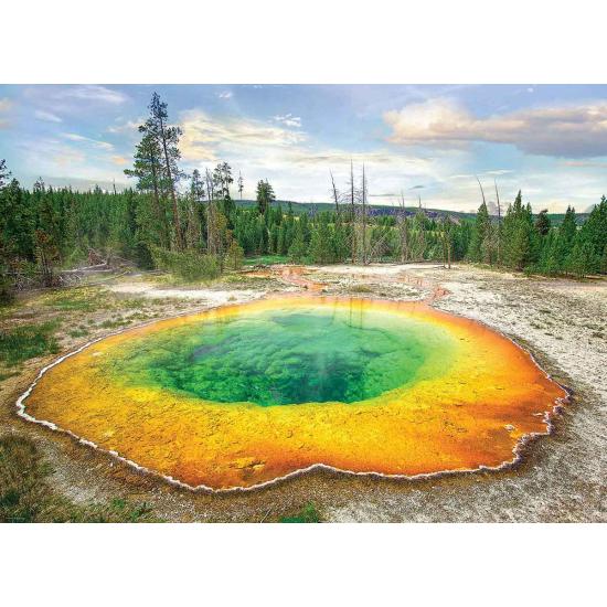 Eurographics Morning Glory Pool 1000-teiliges Puzzle