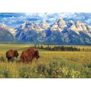 Eurographics Puzzle Grand-Teton-Nationalpark 1000 Teile