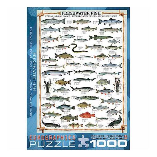 Eurographics Puzzle Süßwasserfisch 1000 Teile