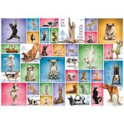 Eurographics Yoga Dogs Puzzle 1000 Teile