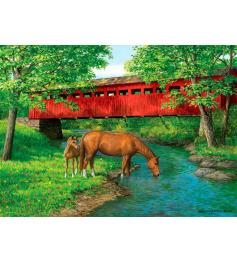 Eurographics Brücke über Süßwasser-Puzzle 1000 Teile