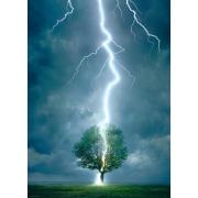 Eurographics Puzzle Lightning Hitting Tree 1000 Teile