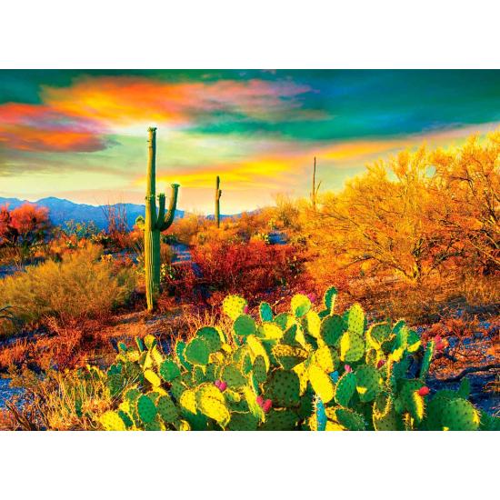 Eurographics Puzzle Wüstenträume 1000 Teile