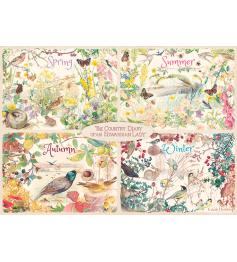 Puzzle Falcon Das Tagebuch der vier Jahreszeiten 1000 Teile