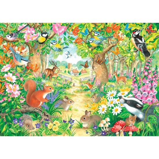 Puzzle Falcon Ein Waldpfad mit 1000 Teilen