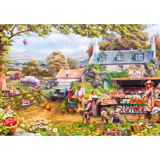 Gibsons Choose Yours Puzzle 2000 Teile