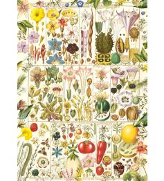 Puzzle Gibsons Botanische Abhandlung 1000 Teile