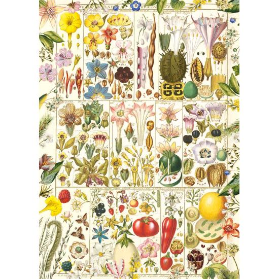 Puzzle Gibsons Botanische Abhandlung 1000 Teile