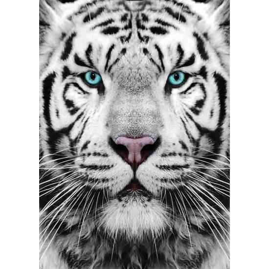 Sibirischer Tiger Goldpuzzle 1000 Teile