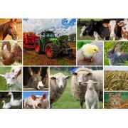 Grafika Collage Puzzle Bauernhoftiere 1500 Teile