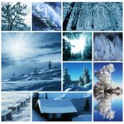 Grafika Winter Collage Puzzle 1000 Teile