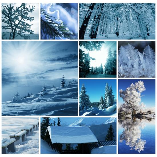 Grafika Winter Collage Puzzle 1000 Teile