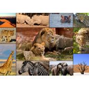 Grafika 1500-teiliges Wildlife-Collage-Puzzle
