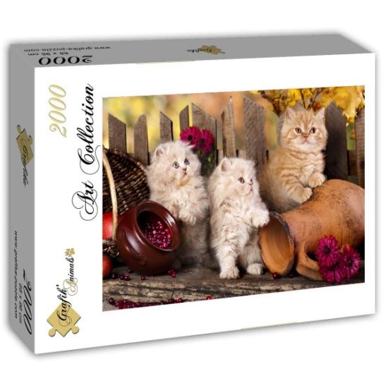 Grafika Perserkatzen Puzzle 1000 Teile