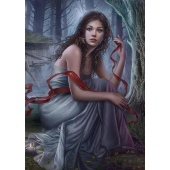 Grafika Unsichtbares Nachtpuzzle mit 1000 Teilen