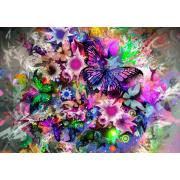 Grafika Puzzle Farbige Schmetterlinge mit 1000 Teilen