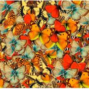 Grafika Puzzle „Vielfalt der Schmetterlinge“ mit 1000 Teilen