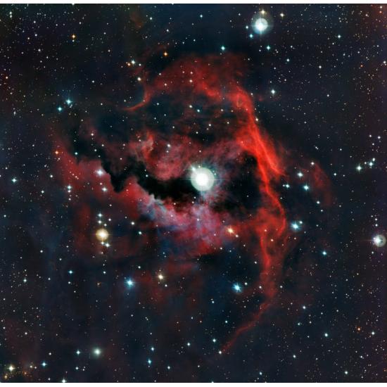 Grafika Möwennebel-Puzzle 1000 Teile