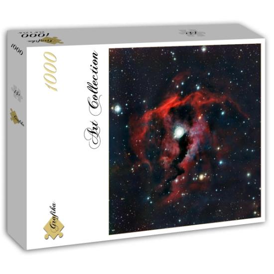 Grafika Möwennebel-Puzzle 1000 Teile