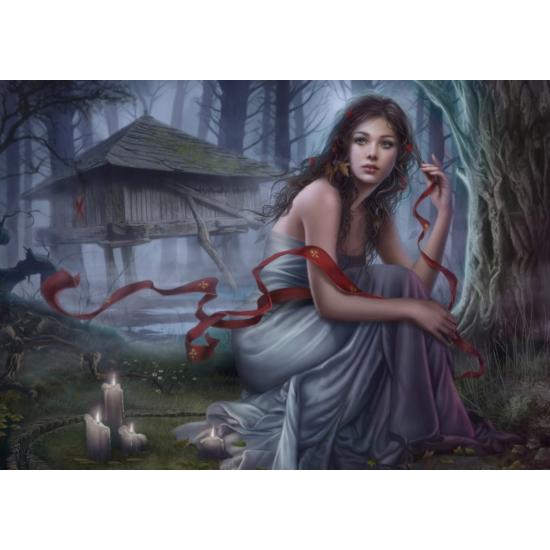 Grafika Unsichtbare Nacht-Puzzle 1000 Teile