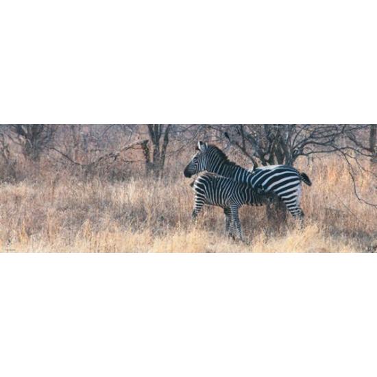 Heye Food Puzzle 1000 Teile