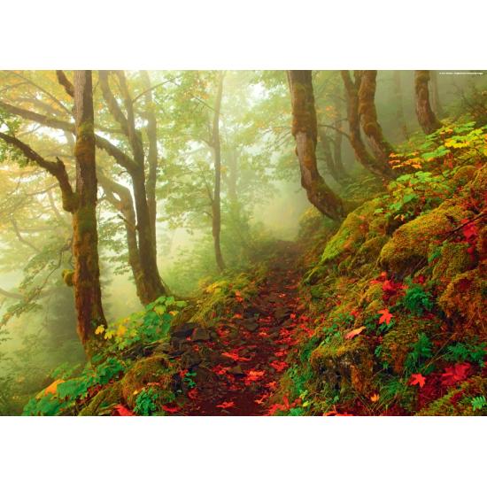 Heye Magic Forest Puzzle, Der Weg aus 1000 Teilen