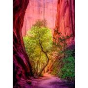 Heye Song Canyon Puzzle 1000 Teile