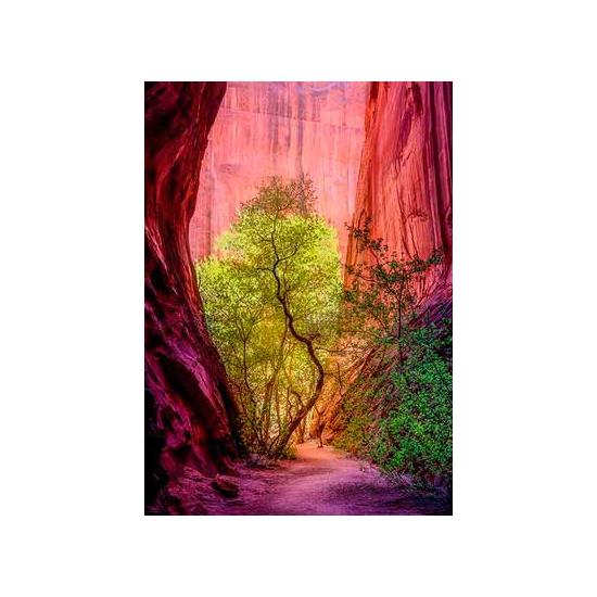 Heye Song Canyon Puzzle 1000 Teile