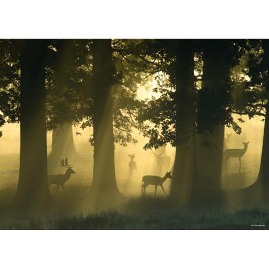 Heye Hirsch Puzzle 1000 Teile