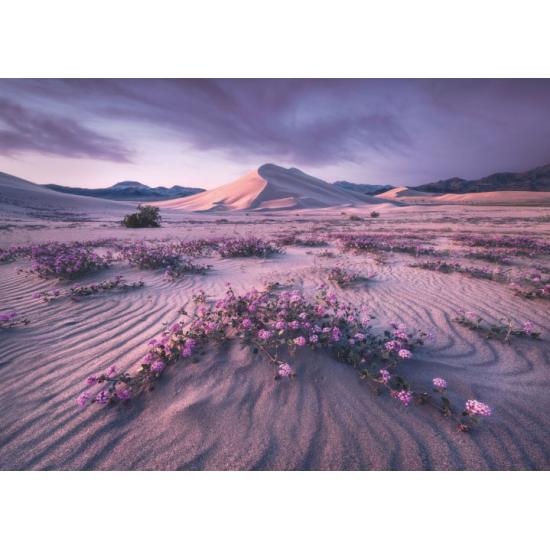 Heye Dynamic Desert Puzzle 1000 Teile