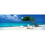 Heye Divi Divi Tree 1000-teiliges Puzzle