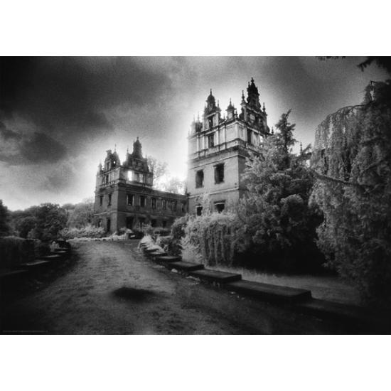 Puzzle Heye Das Schloss (SILBER EDITION) mit 1000 Teilen