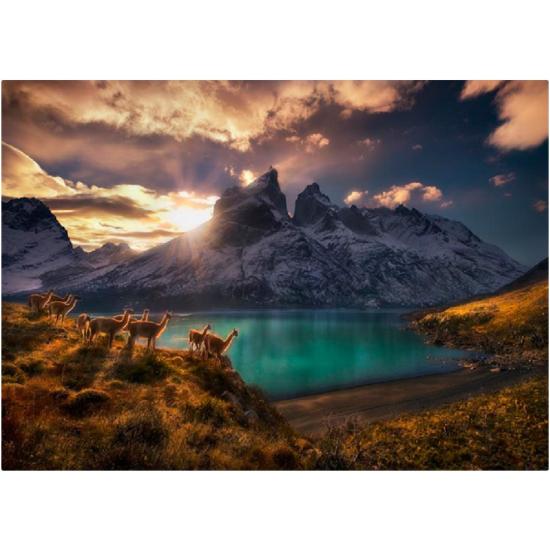 Heye Guanacos 1000-teiliges Puzzle