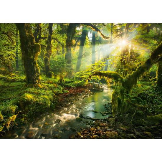 Heye Spiritual Garden Puzzle 1000 Teile
