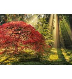 Heye Guide Light Puzzle 1000 Teile