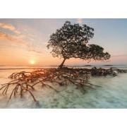 Heye Red Mangrove Puzzle 1000 Teile