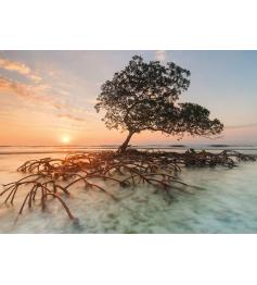 Heye Red Mangrove Puzzle 1000 Teile