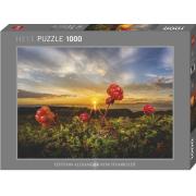 Heye Swamp Mora Puzzle 1000 Teile