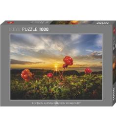 Heye Swamp Mora Puzzle 1000 Teile