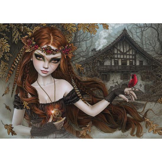 Heye Redbird Puzzle, 1000 Teile Roter Vogel