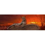 Heye Red Sunset Puzzle 2000 Teile