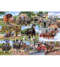 Puzzle House Of Puzzles Packpferde 1000 Teile