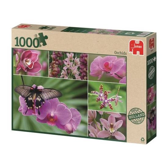 Jumbo-Puzzle Orchideen mit 1000 Teilen