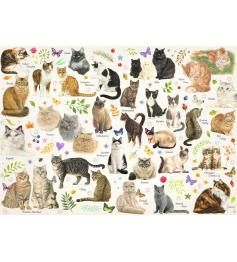 1000-teiliges Katzen-Jumbo-Poster-Puzzle