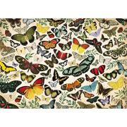 Jumbo Poster Schmetterlinge Puzzle 1000 Teile