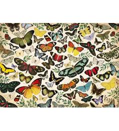 Jumbo Poster Schmetterlinge Puzzle 1000 Teile